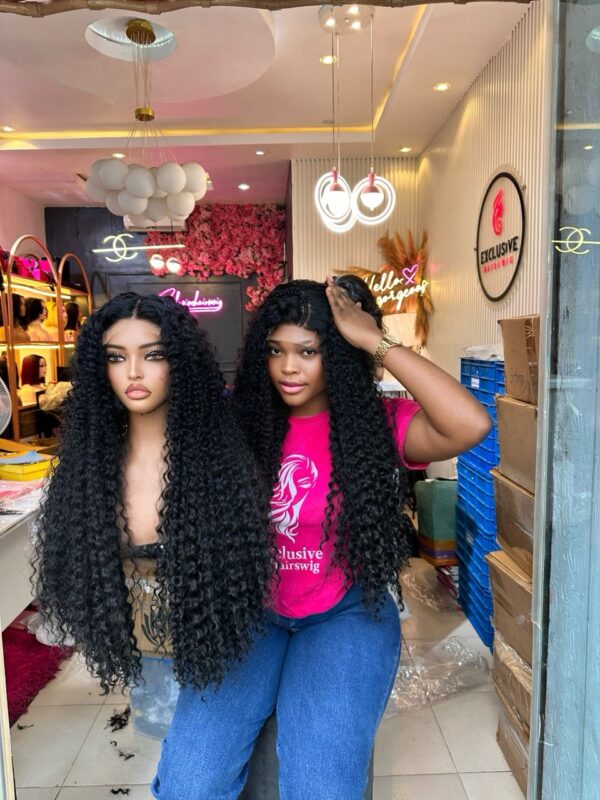 Indian Curls Closure Wig - Image 2