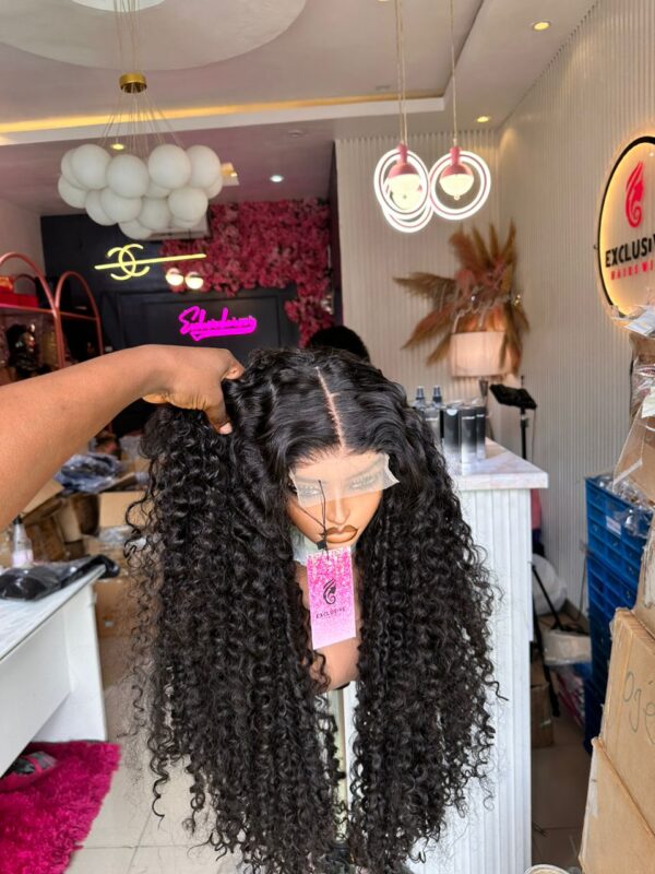 Indian Curls Closure Wig - Image 3