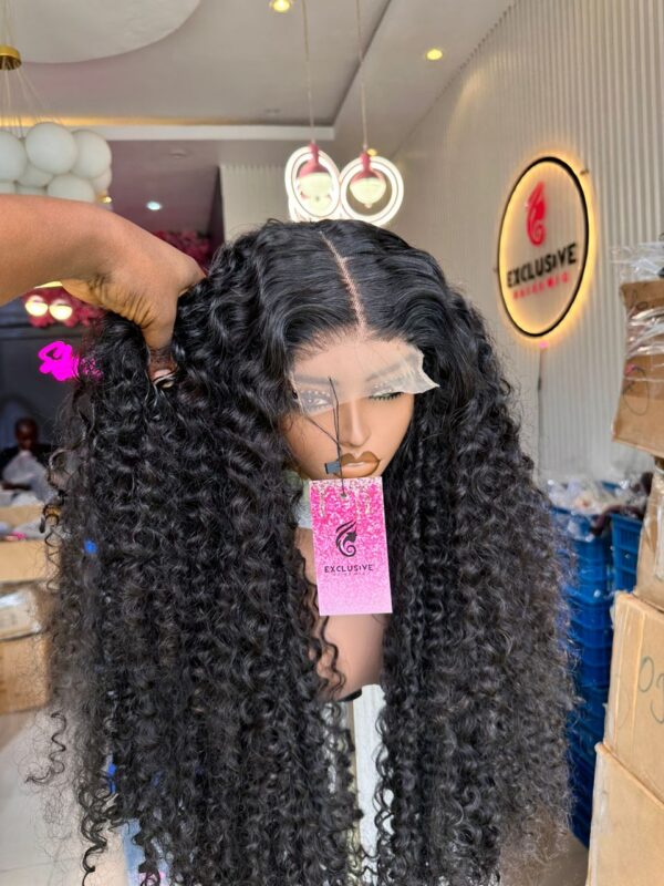 Indian Curls Closure Wig - Image 5