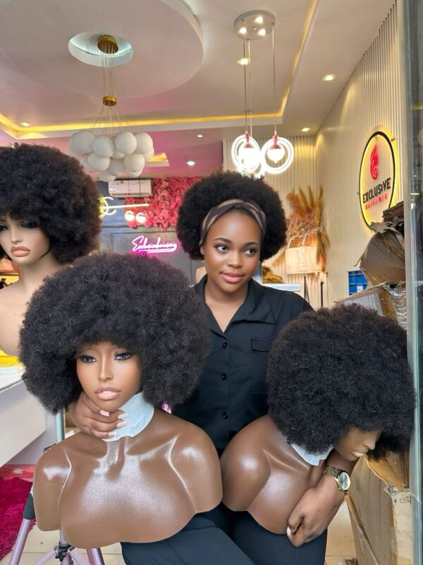 Human Hair Wig – Zee (Afro Collection) - Image 2