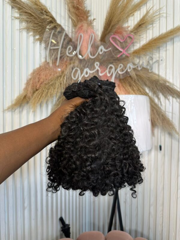 Malaysian Curls Bundles 
