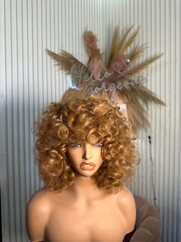 Omotola (Sassy Hair Wig) – Blonde
