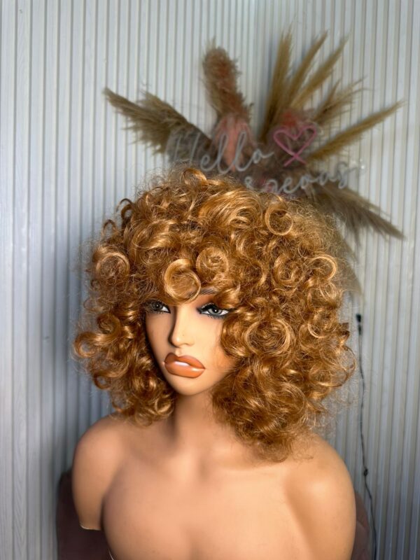 Omotola (Sassy Hair Wig) – Blonde - Image 2