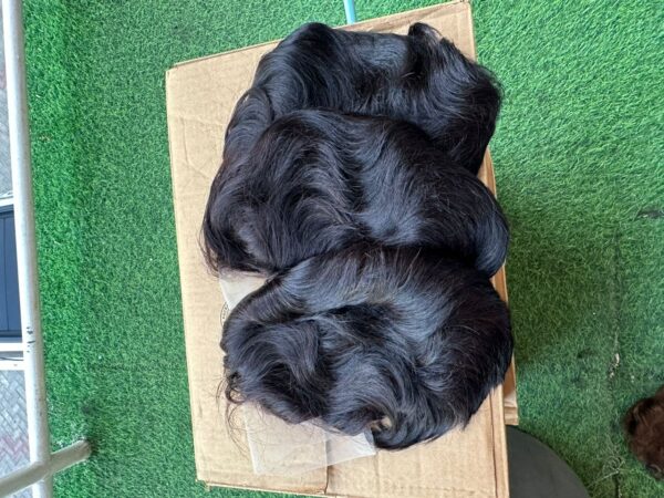 100% FULL FRONTAL TIWA WIG